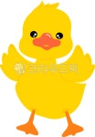 오리, 덕, duck, 새, bird, 사진,이미지,일러스트,캘리그라피 - MacaRongRong작가 크라우드픽 - 저작권 걱정 없는 상업용 이미지