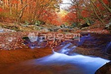 가을풍경, 무주구천동, 단풍, 국립공원, 계곡, 사진,이미지,일러스트,캘리그라피 - 에레스뚜작가 크라우드픽 - 저작권 걱정 없는 상업용 이미지