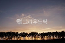 실루엣, 노을, 가을, 하늘, 안면도, 사진,이미지,일러스트,캘리그라피 - hatetomato작가 크라우드픽 - 저작권 걱정 없는 상업용 이미지