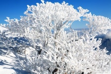 겨울, 겨울산, 덕유산, 설경, 눈꽃, 사진,이미지,일러스트,캘리그라피 - irum작가 크라우드픽 - 저작권 걱정 없는 상업용 이미지