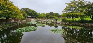 자연, 연못, nature, pond, 공원, 사진,이미지,일러스트,캘리그라피 - yalin565작가 크라우드픽 - 저작권 걱정 없는 상업용 이미지