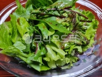 음식, 요리, 샐러드, salad, food, 사진,이미지,일러스트,캘리그라피 - 작가 DREAM작가 크라우드픽 - 저작권 걱정 없는 상업용 이미지