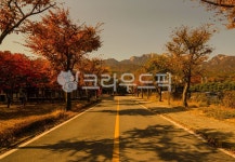 길, 가을길, 단풍길, 단풍나무, 단풍, 사진,이미지,일러스트,캘리그라피 - Ntnguswkd1작가 크라우드픽 - 저작권 걱정 없는 상업용 이미지