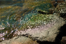 이끼, 물, 돌, 빛, 자연, 사진,이미지,일러스트,캘리그라피 - ccm93작가 크라우드픽 - 저작권 걱정 없는 상업용 이미지