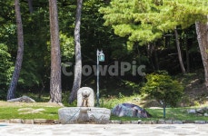 법흥사, 사찰, 약수, 한국전통, 감성, 사진,이미지,일러스트,캘리그라피 - 봉구58작가 크라우드픽 - 저작권 걱정 없는 상업용 이미지