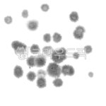 art, 미술, drawing, 그림, 먹, 사진,이미지,일러스트,캘리그라피 - 감성더하기작가 크라우드픽 - 저작권 걱정 없는 상업용 이미지