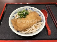 유부우동, 우동, 국수, 일식, noodle, 사진,이미지,일러스트,캘리그라피 - ChrisJeon작가 크라우드픽 - 저작권 걱정 없는 상업용 이미지