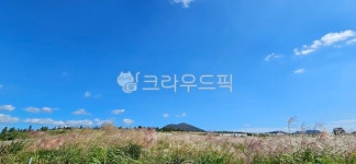 sky, 하늘, field, 필드, grassland, 사진,이미지,일러스트,캘리그라피 - 써니강작가 크라우드픽 - 저작권 걱정 없는 상업용 이미지