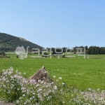 자연, nature, 농장, 목장, 필드, 사진,이미지,일러스트,캘리그라피 - seryeong45작가 크라우드픽 - 저작권 걱정 없는 상업용 이미지