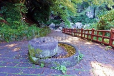 제주도, 안덕계곡, 상록수림, 산책로, 돌, 사진,이미지,일러스트,캘리그라피 - Nbixelcali작가 크라우드픽 - 저작권 걱정 없는 상업용 이미지