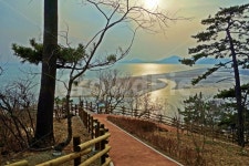 부산, 낙동강하구, 아미산전망대, 연해사주, 나무, 사진,이미지,일러스트,캘리그라피 - Nbixelcali작가 크라우드픽 - 저작권 걱정 없는 상업용... 