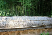 초가집, 초가집담, 대나무숲, 시골집, 전통가옥, 사진,이미지,일러스트,캘리그라피 - 시대작가 크라우드픽 - 저작권 걱정 없는 상업용 이미지