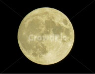 달, 보름달, 둥근달, 추석, 한가위, 사진,이미지,일러스트,캘리그라피 - Cookie작가 크라우드픽 - 저작권 걱정 없는 상업용 이미지