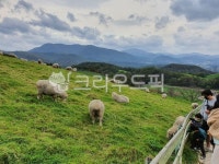 자연, 목장, 목초지, 농장, 방목, 사진,이미지,일러스트,캘리그라피 - 슬로우라이프작가 크라우드픽 - 저작권 걱정 없는 상업용 이미지