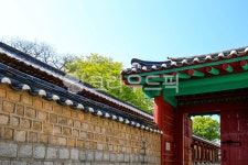 성균관, 유림회관, 한국, 전통, 건물, 사진,이미지,일러스트,캘리그라피 - imlover작가 크라우드픽 - 저작권 걱정 없는 상업용 이미지