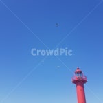 등대, 하늘, 갈매기, gull, lighthouse, 사진,이미지,일러스트,캘리그라피 - 스믈셋작가 크라우드픽 - 저작권 걱정 없는 상업용 이미지