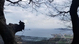 제주도, 산방산, 송악산, 산방굴사, 형제바위, 사진,이미지,일러스트,캘리그라피 - 걷보담작가 크라우드픽 - 저작권 걱정 없는 상업용 이미지