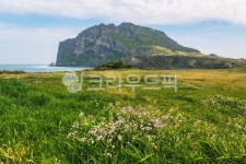 유명마트중화산2호점 | 제주도, 성산일출봉, 관광지, 유명장소, 화산, 사진,이미지,일러스트,캘리그라피 - Kumyido작가 크라우드픽 - 저작권 걱정 없는 상업용 이미지