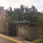 도로, 아스팔트, 나무, 꽃, 담벼락, 사진,이미지,일러스트,캘리그라피 - 6050작가 크라우드픽 - 저작권 걱정 없는 상업용 이미지