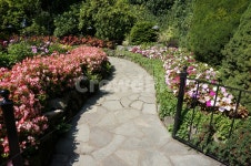 숲, 나무, 정원, 자연, 햇살, 사진,이미지,일러스트,캘리그라피 - Gloomysunday작가 크라우드픽 - 저작권 걱정 없는 상업용 이미지