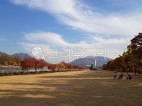 자연, 공원, 나무, nature, park, 사진,이미지,일러스트,캘리그라피 - 연담작가 크라우드픽 - 저작권 걱정 없는 상업용 이미지