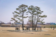 해미읍성, 한옥마을, 민속마을, human, 인간, 사진,이미지,일러스트,캘리그라피 - 노루작가 크라우드픽 - 저작권 걱정 없는 상업용 이미지