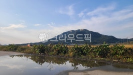 강화도, 강화, 고려산, 자연, 산, 사진,이미지,일러스트,캘리그라피 - 퀸피그작가 크라우드픽 - 저작권 걱정 없는 상업용 이미지