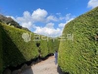 제주도, 하늘, 구름, 미로, 미로정원, 사진,이미지,일러스트,캘리그라피 - funnyflog00작가 크라우드픽 - 저작권 걱정 없는 상업용 이미지