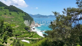 남해, 바다, nature, 자연, 해안, 사진,이미지,일러스트,캘리그라피 - 96dmstj작가 크라우드픽 - 저작권 걱정 없는 상업용 이미지