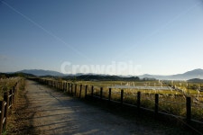 우포늪, 대대제방, 창녕, 갈대, 가을하늘, 사진,이미지,일러스트,캘리그라피 - 노싸부작가 크라우드픽 - 저작권 걱정 없는 상업용 이미지