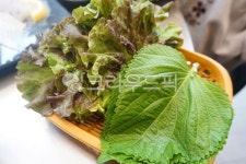 깻잎, 상추, 횟집, 쌈, 야채, 사진,이미지,일러스트,캘리그라피 - Nmygomi99작가 크라우드픽 - 저작권 걱정 없는 상업용 이미지