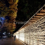 덕수궁, 한국전통, 돌담길, 궁궐, 덕수궁돌담길, 사진,이미지,일러스트,캘리그라피 - ybk805작가 크라우드픽 - 저작권 걱정 없는 상업용 이미지