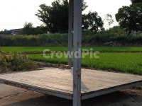 고양이, 정자, 시골, 쉼터, 쉼, 사진,이미지,일러스트,캘리그라피 - 지요미작가 크라우드픽 - 저작권 걱정 없는 상업용 이미지