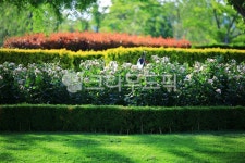 순천만국가정원1호, 테마공원, 자연생태공원, 자연, 옥외, 사진,이미지,일러스트,캘리그라피 - pandora4077작가 크라우드픽 - 저작권 걱정... 