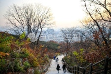 남산, 산책, 산책로, 인간, 옥외, 사진,이미지,일러스트,캘리그라피 - imlover작가 크라우드픽 - 저작권 걱정 없는 상업용 이미지