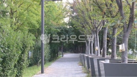 일방통행, 막다른길, 막힌길, 길없음, 가로수, 사진,이미지,일러스트,캘리그라피 - creatorDUA작가 크라우드픽 - 저작권 걱정 없는 상업용 이미지