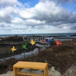 제주도, 해맞이해안로, 해안도로, 바람개비, 풍경, 사진,이미지,일러스트,캘리그라피 - Nhikang08작가 크라우드픽 - 저작권 걱정 없는 상업용... 