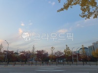 버스정류장, 파란하늘, 건너편, 도로, 텅빈도로, 사진,이미지,일러스트,캘리그라피 - lesegokim작가 크라우드픽 - 저작권 걱정 없는 상업용 이미지