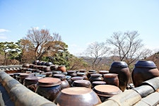 항아리, 장독대, 독, 풍경, 자연, 사진,이미지,일러스트,캘리그라피 - 함께사는세상작가 크라우드픽 - 저작권 걱정 없는 상업용 이미지