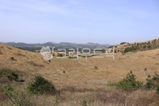 용눈이오름, 제주오름, 오름, 동산, 농촌, 사진,이미지,일러스트,캘리그라피 - ju999작가 크라우드픽 - 저작권 걱정 없는 상업용 이미지