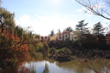 호수, 불국사, 가을, 단풍, 풍경, 사진,이미지,일러스트,캘리그라피 - H2080작가 크라우드픽 - 저작권 걱정 없는 상업용 이미지