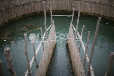 죽방렴, 멸치, 남해창선, 생선, 바다, 사진,이미지,일러스트,캘리그라피 - hmac1989작가 크라우드픽 - 저작권 걱정 없는 상업용 이미지