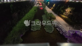 도랑, ditch, 야간, 냇가, 풀숲, 사진,이미지,일러스트,캘리그라피 - Ncch100작가 크라우드픽 - 저작권 걱정 없는 상업용 이미지