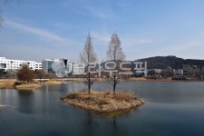 천호지, 단대호수, 호수, 저수지, 천안, 사진,이미지,일러스트,캘리그라피 - Deep bLUE작가 크라우드픽 - 저작권 걱정 없는 상업용 이미지