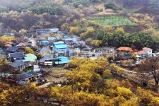 nature, 자연, outdoors, 옥외, 구례산동산수유마을, 사진,이미지,일러스트,캘리그라피 - 영산공작가 크라우드픽 - 저작권 걱정 없는 상업용... 