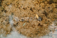 outdoors, 자연, nature, 바위, 옥외, 사진,이미지,일러스트,캘리그라피 - goodlife1126작가 크라우드픽 - 저작권 걱정 없는 상업용 이미지