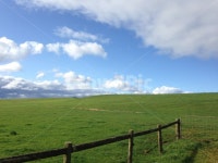 푸른, 하늘, 초원, 농장, 구름, 사진,이미지,일러스트,캘리그라피 - 신이난바람작가 크라우드픽 - 저작권 걱정 없는 상업용 이미지