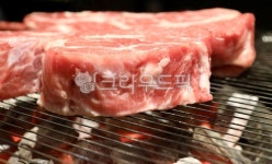 양고기, 고기, meat, lamb, food, 사진,이미지,일러스트,캘리그라피 - 투은빠작가 크라우드픽 - 저작권 걱정 없는 상업용 이미지