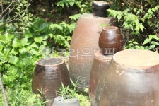 항아리, jar, 김장, 장독대, apotstand, 사진,이미지,일러스트,캘리그라피 - heeeek작가 크라우드픽 - 저작권 걱정 없는 상업용 이미지