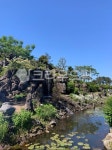 폭포, 제주도, 연못, jeju, nature, 사진,이미지,일러스트,캘리그라피 - Greendream작가 크라우드픽 - 저작권 걱정 없는 상업용 이미지